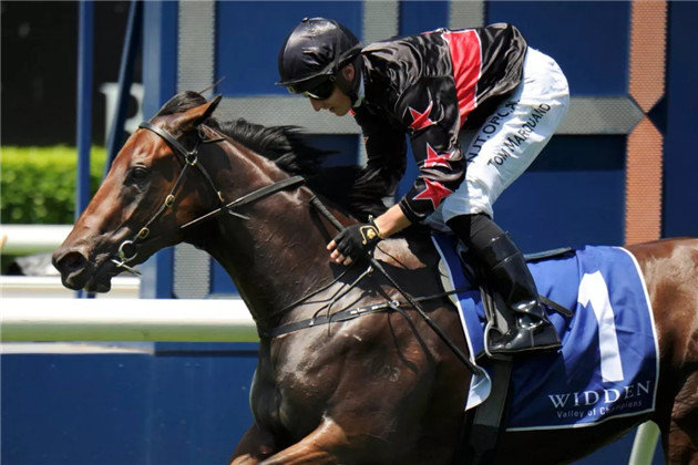 细数2020年前三个月,Aquis Farm雅士牧场两岁赛马如何席卷澳大利亚赛场! 大陆赛马网 (5).jpg