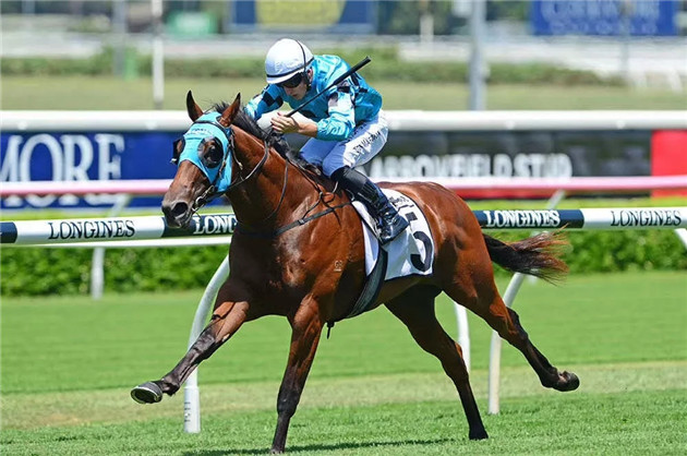 细数2020年前三个月,Aquis Farm雅士牧场两岁赛马如何席卷澳大利亚赛场! 大陆赛马网 (6).jpg