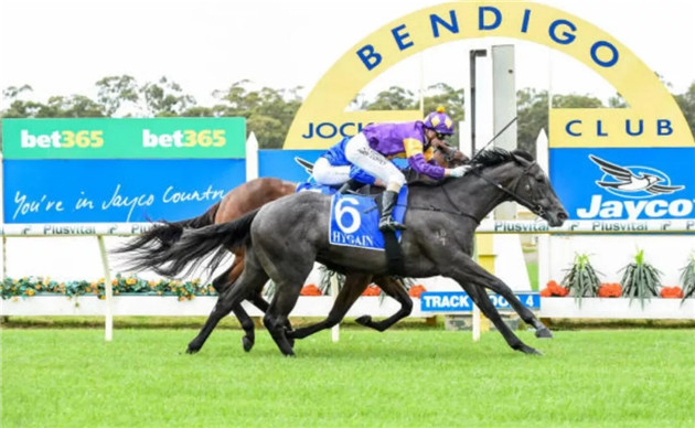 细数2020年前三个月,Aquis Farm雅士牧场两岁赛马如何席卷澳大利亚赛场! 大陆赛马网 (7).jpg