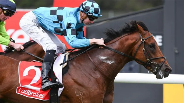 细数2020年前三个月,Aquis Farm雅士牧场两岁赛马如何席卷澳大利亚赛场! 大陆赛马网 (8).jpg