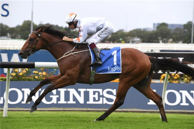 细数2020年前三个月,Aquis Farm雅士牧场两岁赛马如何席卷澳大利亚赛场! 大陆赛马网 (9).jpg