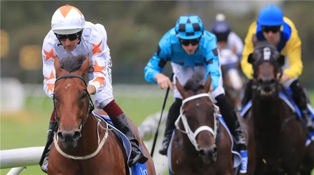 细数2020年前三个月,Aquis Farm雅士牧场两岁赛马如何席卷澳大利亚赛场! 大陆赛马网 (10).jpg