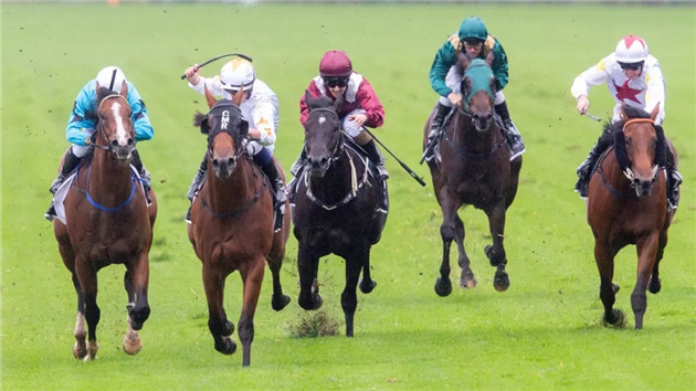 细数2020年前三个月,Aquis Farm雅士牧场两岁赛马如何席卷澳大利亚赛场! 大陆赛马网 (11).jpg