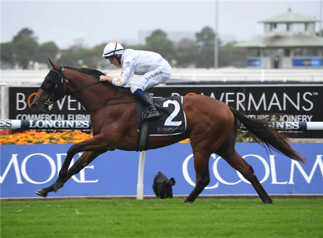 细数2020年前三个月,Aquis Farm雅士牧场两岁赛马如何席卷澳大利亚赛场! 大陆赛马网 (13).jpg