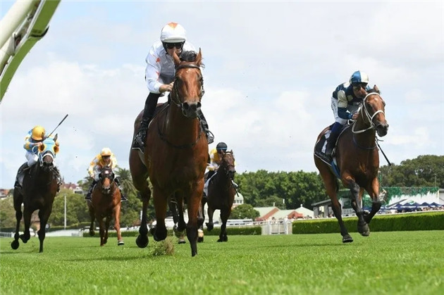 细数2020年前三个月,Aquis Farm雅士牧场两岁赛马如何席卷澳大利亚赛场! 大陆赛马网 (12).jpg