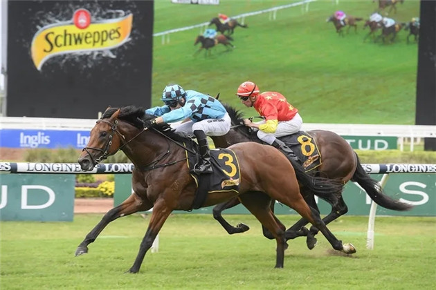 细数2020年前三个月,Aquis Farm雅士牧场两岁赛马如何席卷澳大利亚赛场! 大陆赛马网 (15).jpg