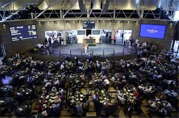 直播卖马,说来就来!世界首次,两天卖3亿!900万天价马由中国马主卖出 大陆赛马网 (1).jpg