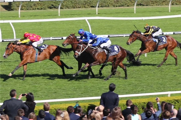 直播卖马,说来就来!世界首次,两天卖3亿!900万天价马由中国马主卖出 大陆赛马网 (4).jpg