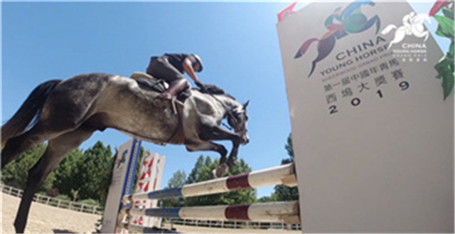 二届年青马大赛25日安平举办,法国球星斥资250万买赛马 (2).jpg