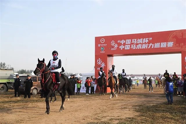 2021年中国马术节继续在安平举办:今年6项赛事精彩瞬间全回顾(9).webp.jpg