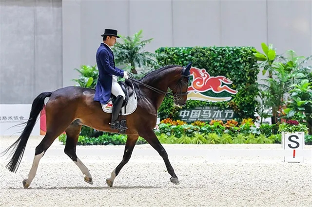 2021年中国马术节继续在安平举办:今年6项赛事精彩瞬间全回顾(8).webp.jpg