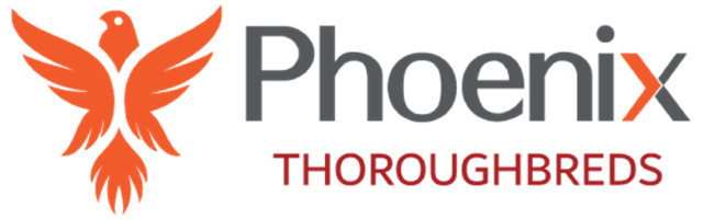 凤凰纯血马用虚拟货币诈骗洗钱被招供 英法两国彻底禁赛,诈骗中国数百亿 (1).jpg