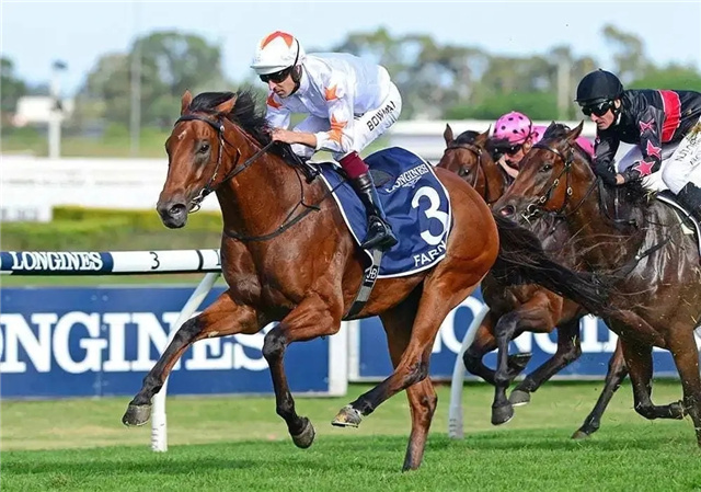 凤凰纯血马用虚拟货币诈骗洗钱被招供 英法两国彻底禁赛,诈骗中国数百亿 (4).jpg