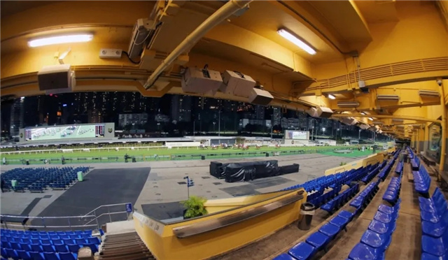 疫情放缓 香港赛马会重新开放公众进场观赛.jpg