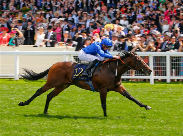 三岁明星赛马“吕宋火山”退役 将在达利英国牧场配种.webp.jpg