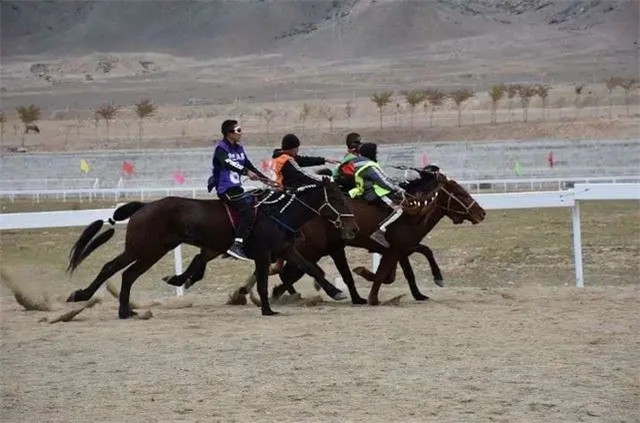 第二届阿勒泰“育马者杯”赛马大会在富蕴县举行.webp.jpg