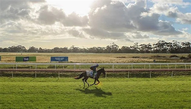 29匹欧洲赛马飞赴澳洲参赛 未来或留在当地征战.jpg