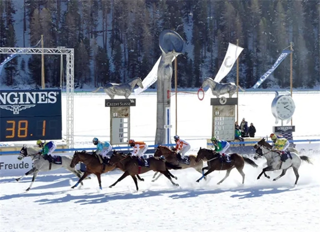 受新冠疫情影响 2021瑞士著名圣莫里茨雪地赛马节取消.webp.jpg