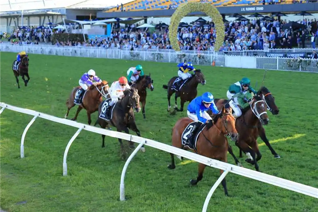 华宇、CHC杰士、蒙骏、雅士牧场多匹赛马周末挑战澳洲级别赛.jpg