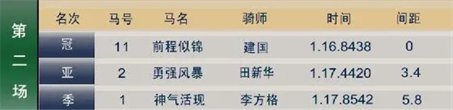 马主付永斌、侯兴建、安志强、周小强旗下四驹问鼎2020武汉第三赛马日(10).webp.jpg