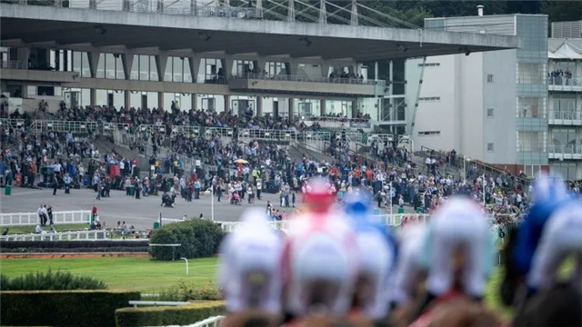 英国赛马疫情后首迎马迷观众:1000张门票17分钟售罄.webp.jpg