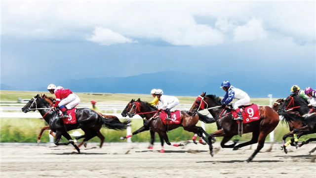2021年中华民族大赛马总决赛设在新疆昭苏中国西域赛马场(1).webp.jpg