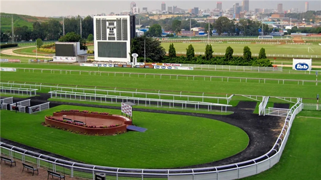 南非再次上调疫情封锁等级 赛马比赛再度受限.jpg