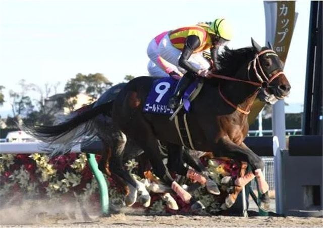 日本双料一级赛冠军赛马“金色梦”退役:祖父“周日宁静”.jpg