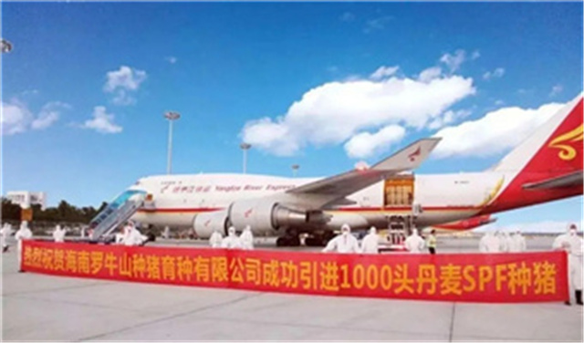 极不平凡的一年:2020中国十大最受关注的马业事件 (3).jpg