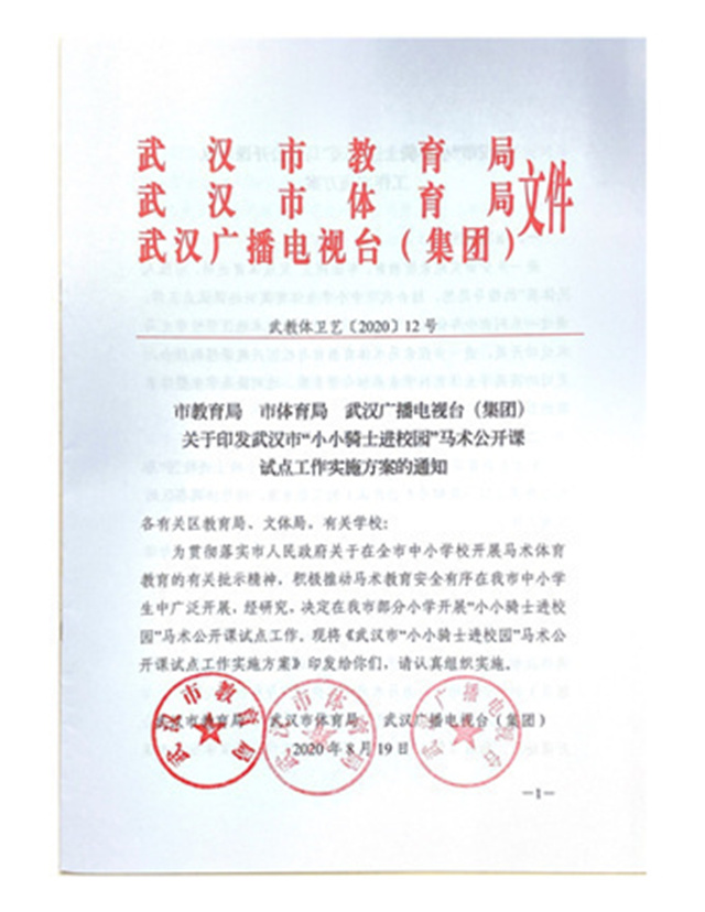 极不平凡的一年:2020中国十大最受关注的马业事件 (1).jpg