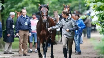 温血马价值不菲,教你如何不花冤枉钱甄选心仪障碍马匹! (1).jpg