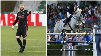 皇马球星拉莫斯购入8岁天才雌马 (1).jpg