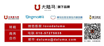 大陆赛马网.jpg
