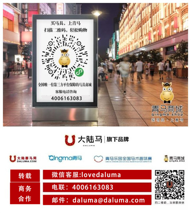 赛马 大陆马.jpg