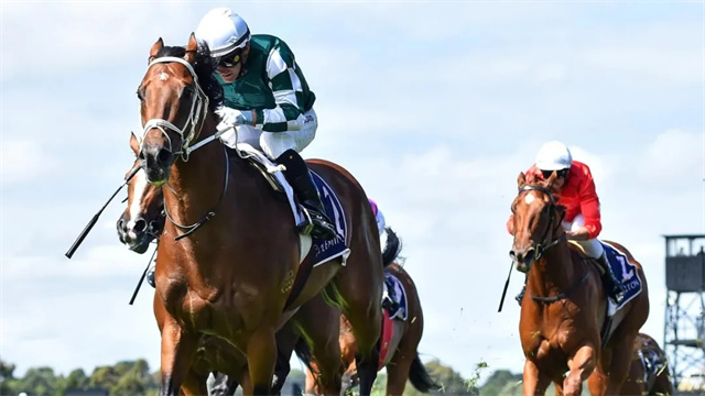 牛年状态火热!玉龙马业准种马“众神之首”澳洲80万奖金三级赛夺冠 大陆马 赛马 (3).jpg