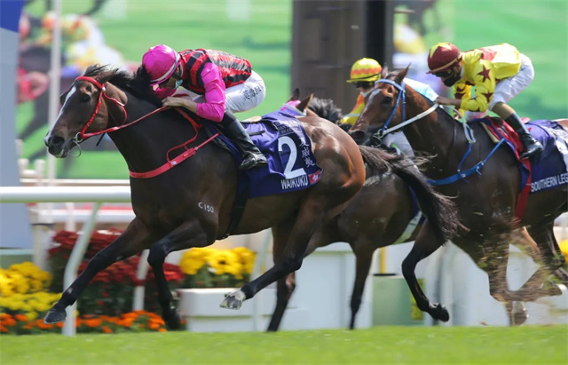 六岁赛马“夏威夷”摘下全球奖金最高1400米赛事:一级赛女皇银禧纪念杯 大陆马 赛马.jpg