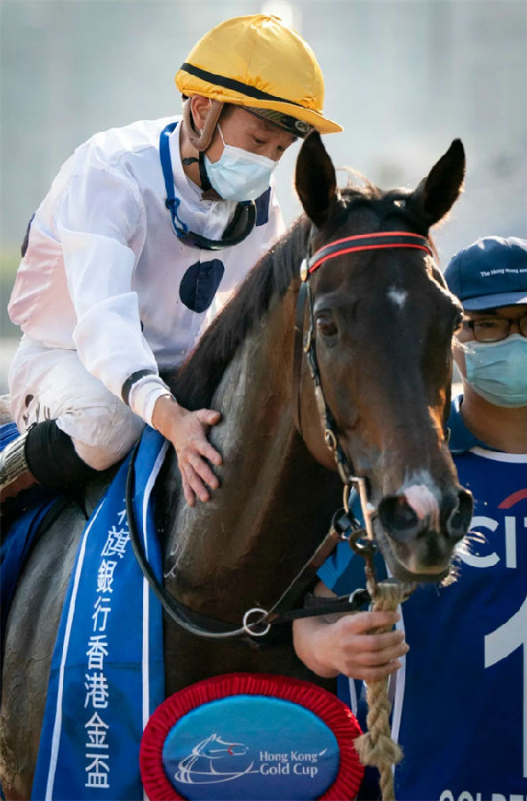 香港沙田赛马场上演三场大赛:蔡约翰1300胜兼登榜首 大陆马 赛马 (1).jpg