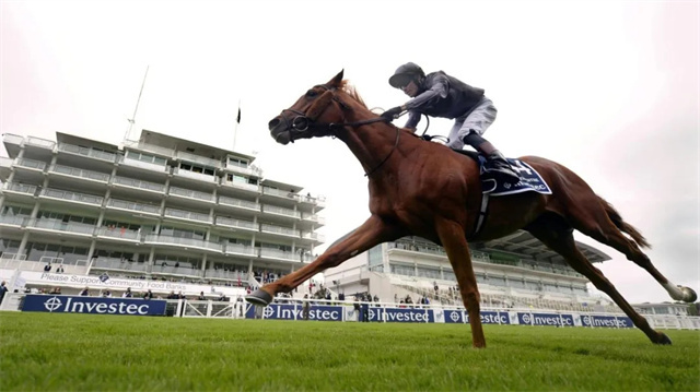 英国叶森打吡奖金有所恢复:增至112万5千英镑 大陆赛马网 赛马.jpg