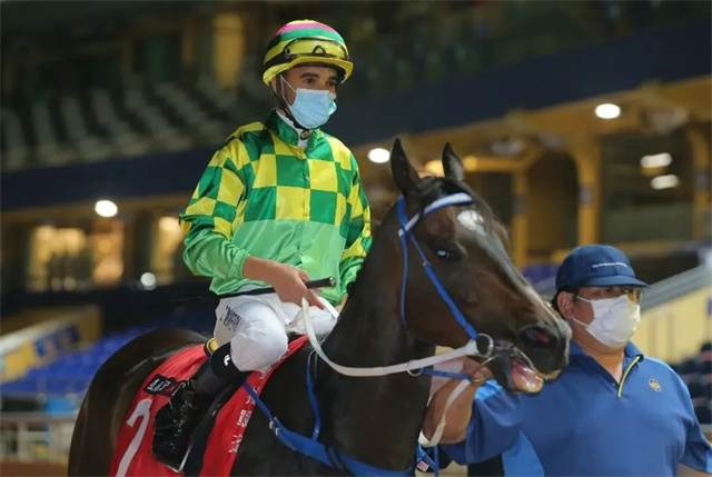 马闻早报丨菏泽马场火灾马儿2死3伤!马雅梦想成真周日起在港策骑 大陆赛马网 赛马网 赛马 (11).jpg