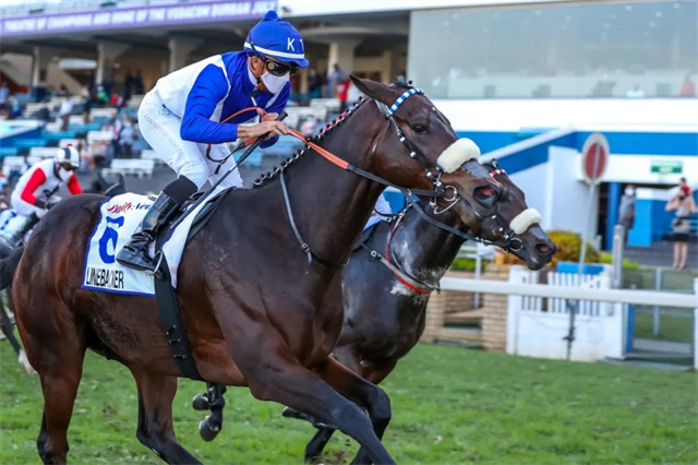 利敬国凭“后卫”攻下南非一级赛基维尔2000锦标 赛马.jpg