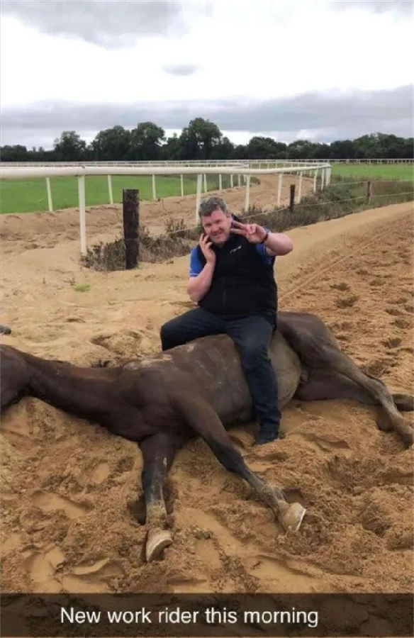 马闻早报丨马1型疱疹病毒致国际马联紧急叫停欧洲赛事,爱尔兰练马师坐在死亡赛马身上被禁赛 大陆赛马网 赛马网 赛马 (7).jpg