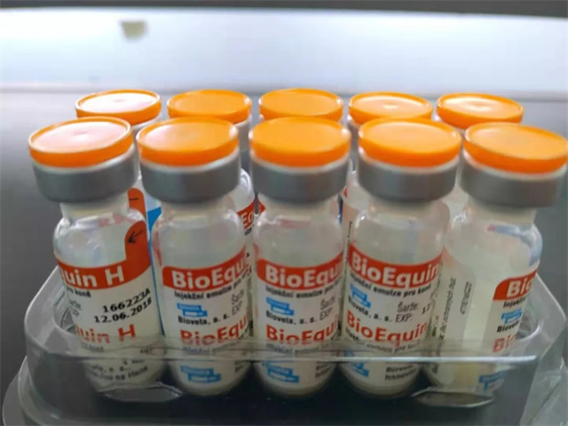 马闻早报丨新疆农大获批马业科学本科专业,中国马会慰问第一代赛马冠军伉俪 大陆赛马网 赛马网 赛马 (6).jpg