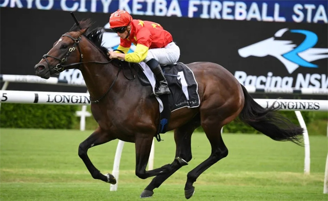 马闻早报丨广东省马术联赛第一站改期,CHC“霸王”再度称霸澳洲赛场 赛马网 大陆赛马网 赛马 (1).jpg