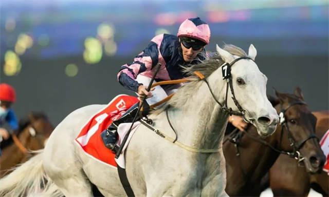 迪拜超级星期六:“行军礼”剑指迪拜赛马世界杯 大陆赛马网 赛马网 赛马 (1).jpg