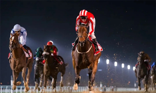 迪拜超级星期六:“行军礼”剑指迪拜赛马世界杯 大陆赛马网 赛马网 赛马 (2).jpg