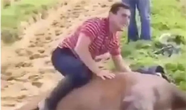 见习骑师坐在死亡赛马肆意大笑 引爱尔兰赛马规范理事会调查 大陆赛马网 赛马网 赛马 (1).jpg