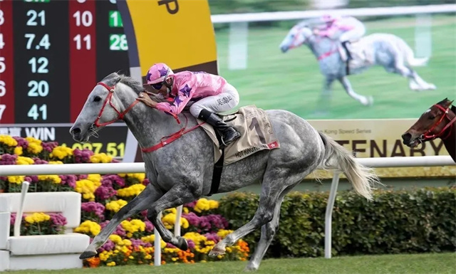 马闻早报丨全运会马术资格赛将在成都举行,中英速度赛马产业经验分享会举办 (4).jpg