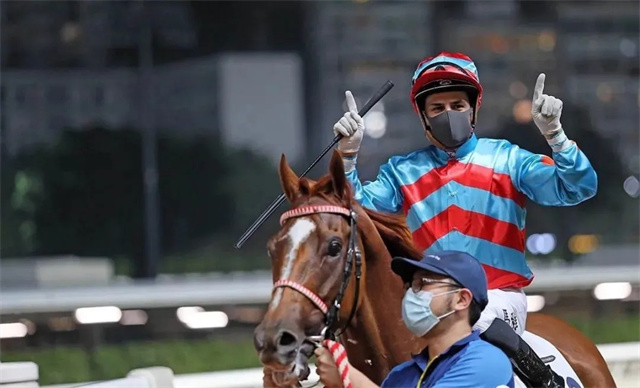 马闻早报丨全运会马术资格赛将在成都举行,中英速度赛马产业经验分享会举办 (2).jpg