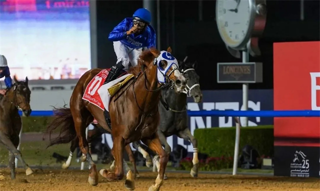 香港澳洲缺席 高多芬迪拜赛马世界杯三连霸 大陆赛马网 赛马网 赛马 (1).jpg