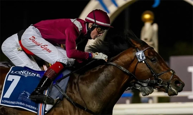 香港澳洲缺席 高多芬迪拜赛马世界杯三连霸 大陆赛马网 赛马网 赛马 (2).jpg